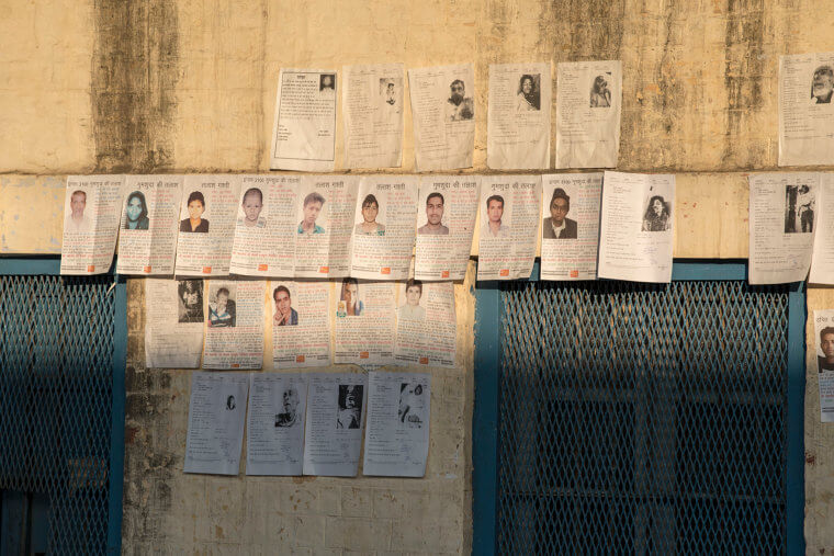 Green National Forest And Paula Weldon