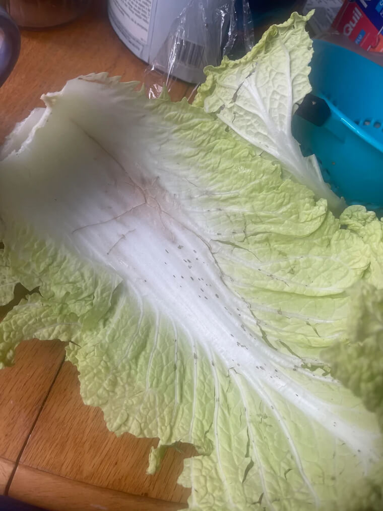Revive Wilted Root Vegetables