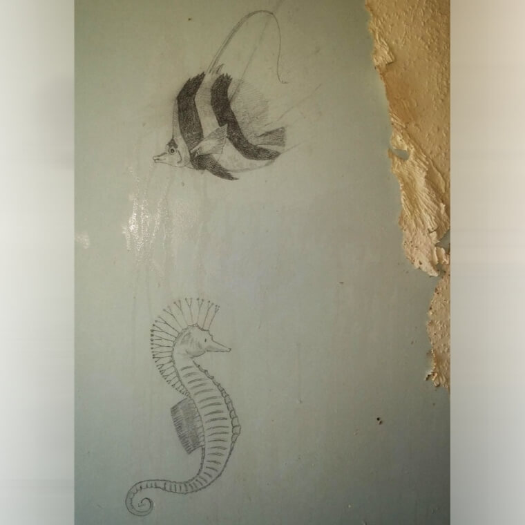 Marine Life Drawings Hidden Under Old Wallpaper