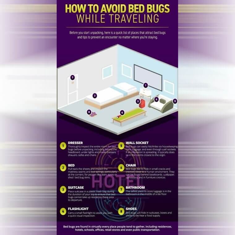 How to Avoid Bed Bugs While Traveling