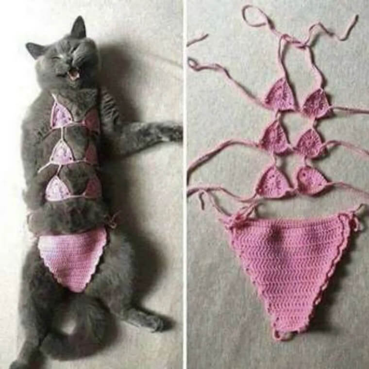 Someone Needs a New Hobby