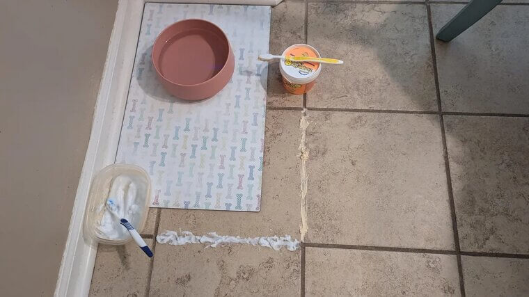 Old Toothbrush for Grout