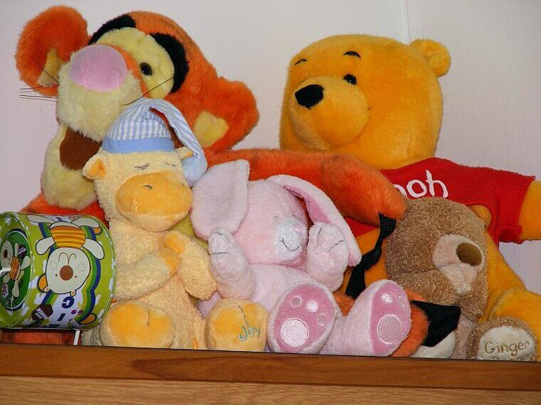 Toys No One Plays With