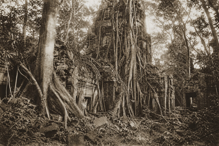 Angkor Wat Was Swallowed by Jungle