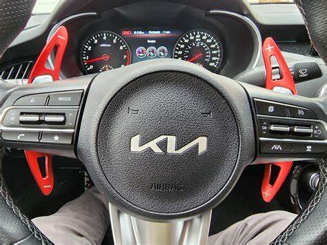 Paddle Shifters
