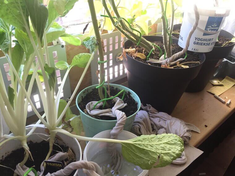 Use Recycled Water for Outdoor Cleaning