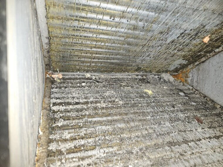 Maintain Your HVAC System Annually