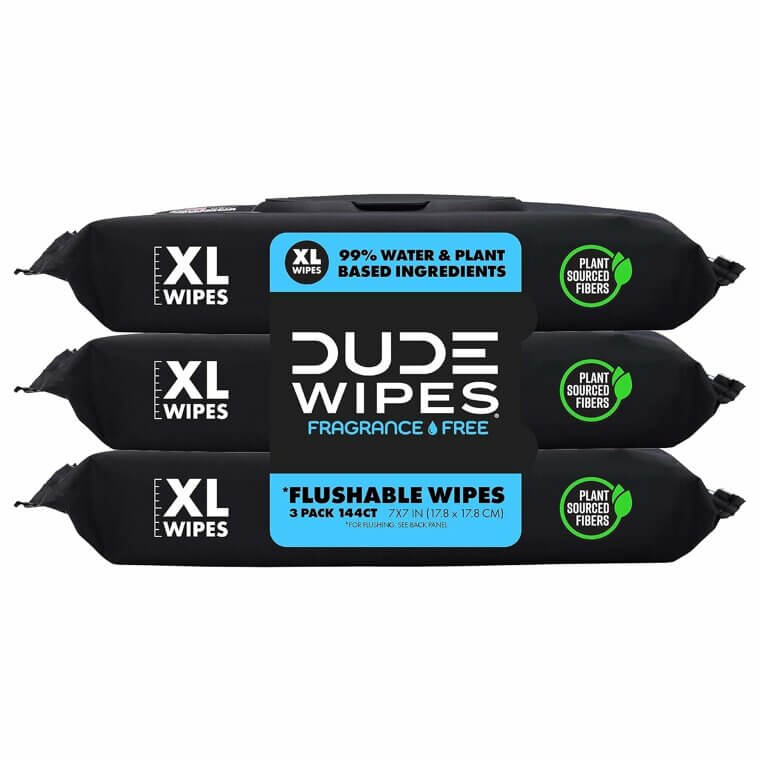 Upgrade Your Bathroom Routine With DUDE Wipes - Unscented, Extra-Large, Flushable