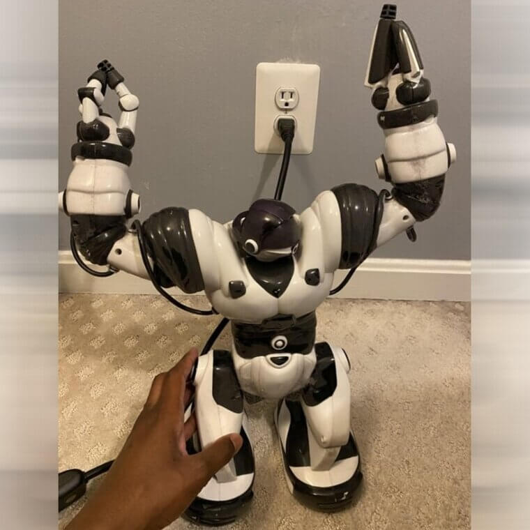 2003 - Robosapien