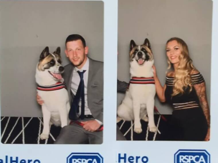 Winning an Animal Hero Award