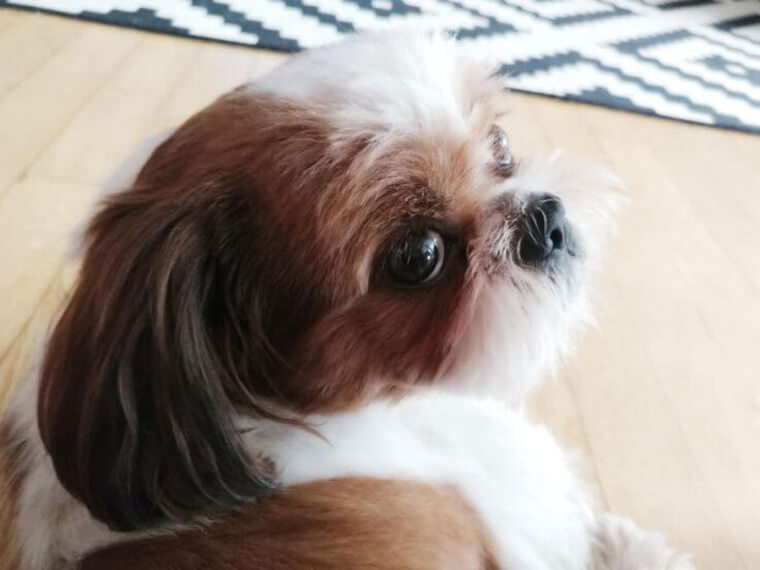 Don't Let the Looks Fool You!