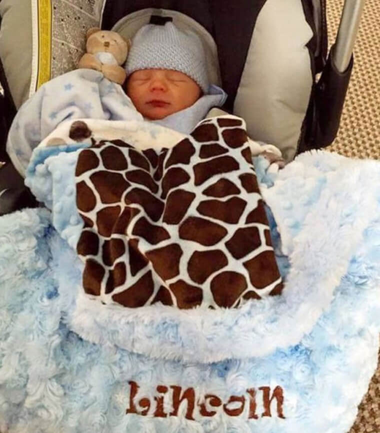 Bringing Lincoln Home