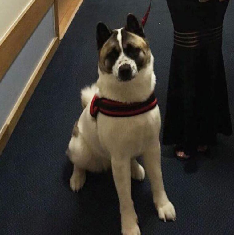 Keola Trying To Stop Alhanna From Going to Work