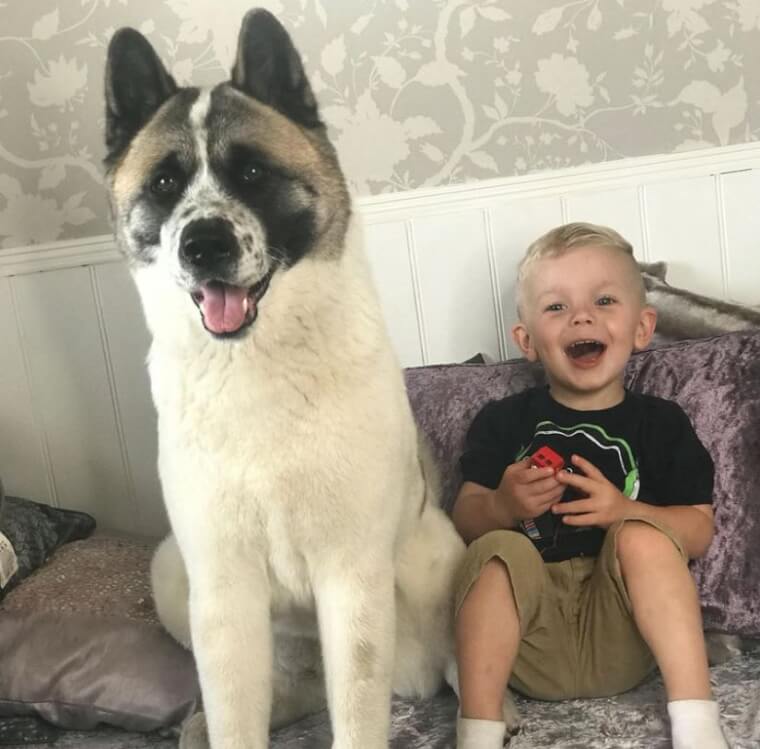 Happy and Healthy Lincoln