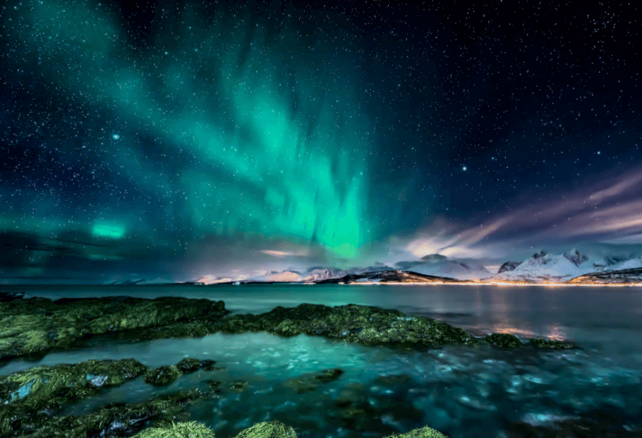 12 Stunning Natural Light Shows, From Auroras to Bioluminescence