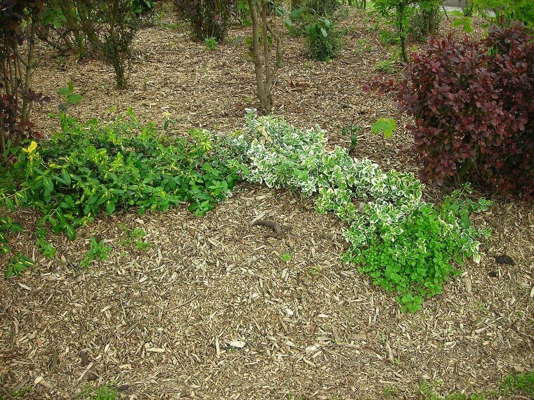 Add Mulch