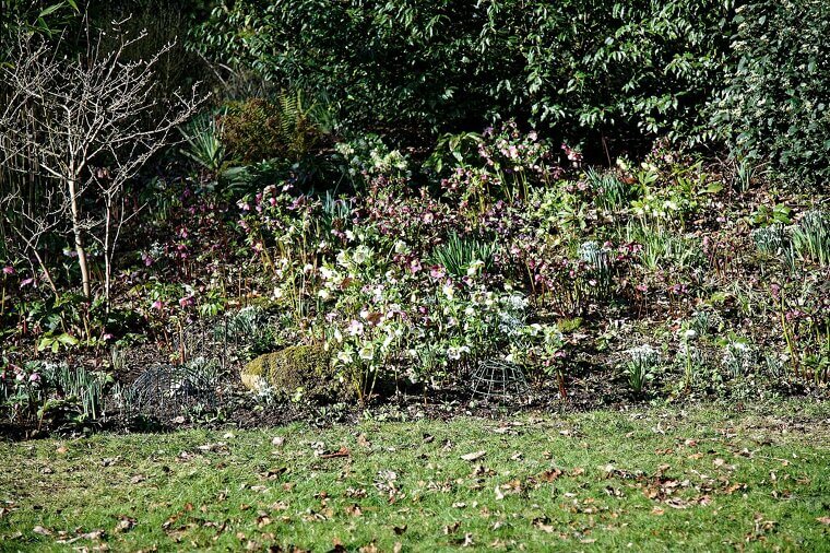 Garden Bed Edges