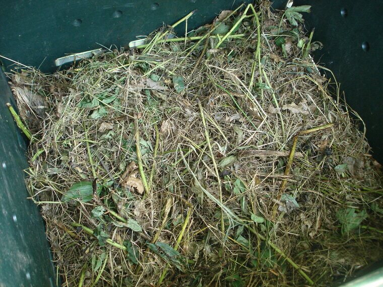 Add Compost