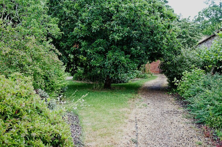 Clean Your Patio and Paths