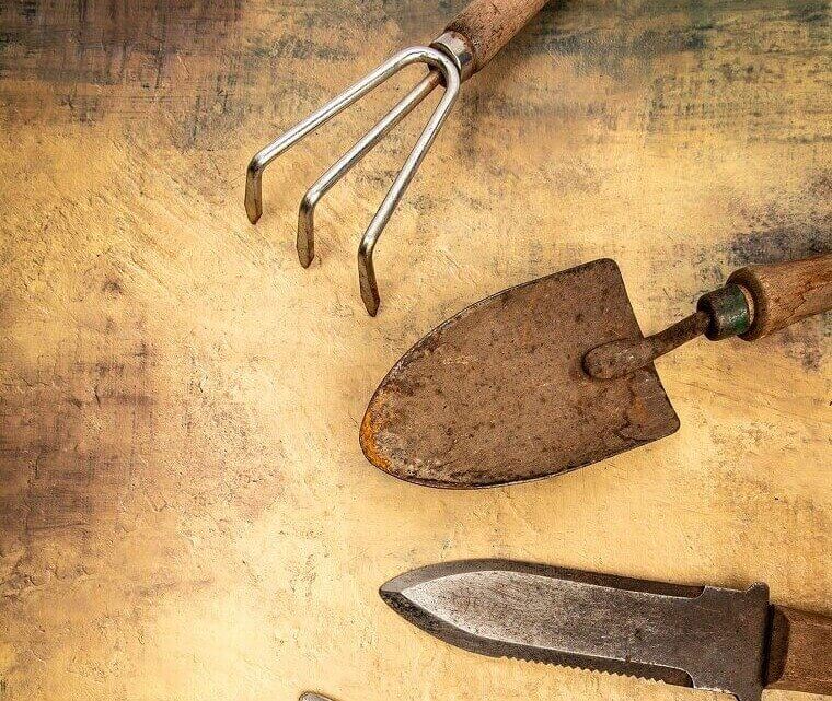 Sharpen Your Blades