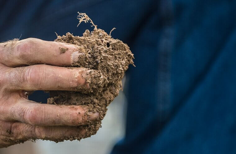 Loosen the Soil