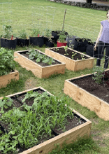 How to Prepare Your Garden for Spring