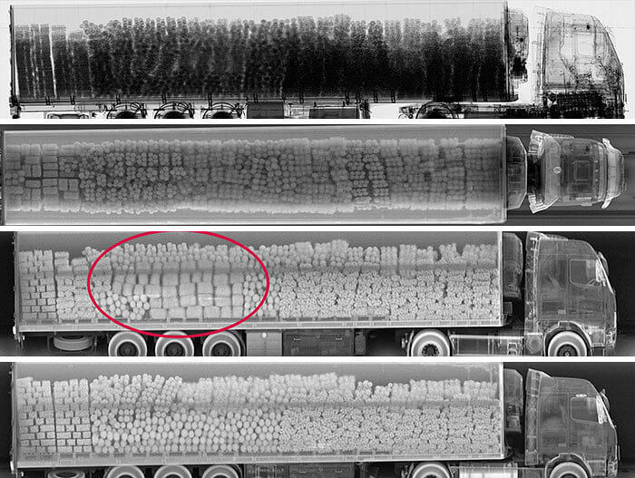 Something Is Off About One Of These X-Rays