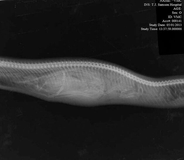 What Happened To Charlie?