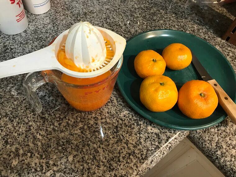 A Plastic Citrus Juicer