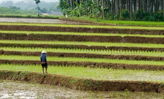 Rethinking Our Relationship With Food and Land