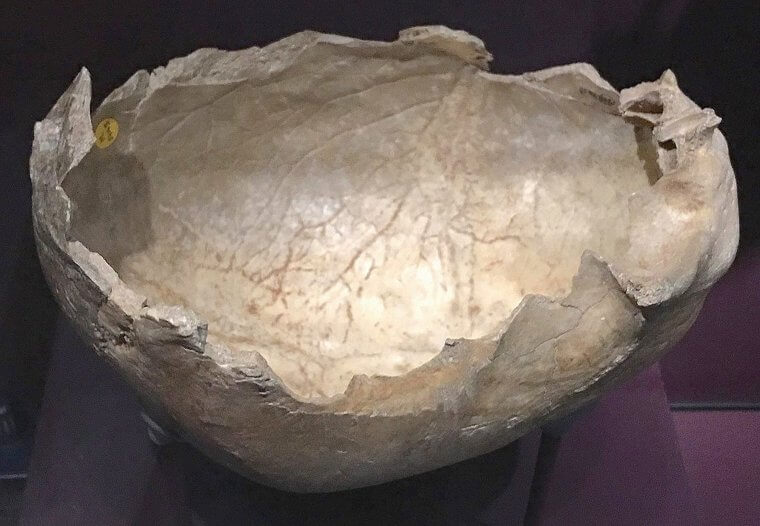Ancient Brits Used These as Bowls and Cups