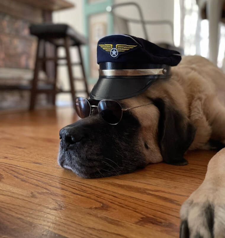 Over 50% of Commercial Pilots Admit to This