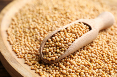 Retro Health Advice That Actually Makes Sense