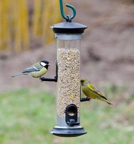 Add A Bird Feeder To Your Yard