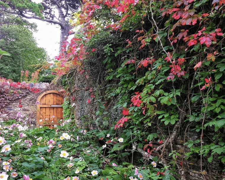Create Your Own Magical Hideaway