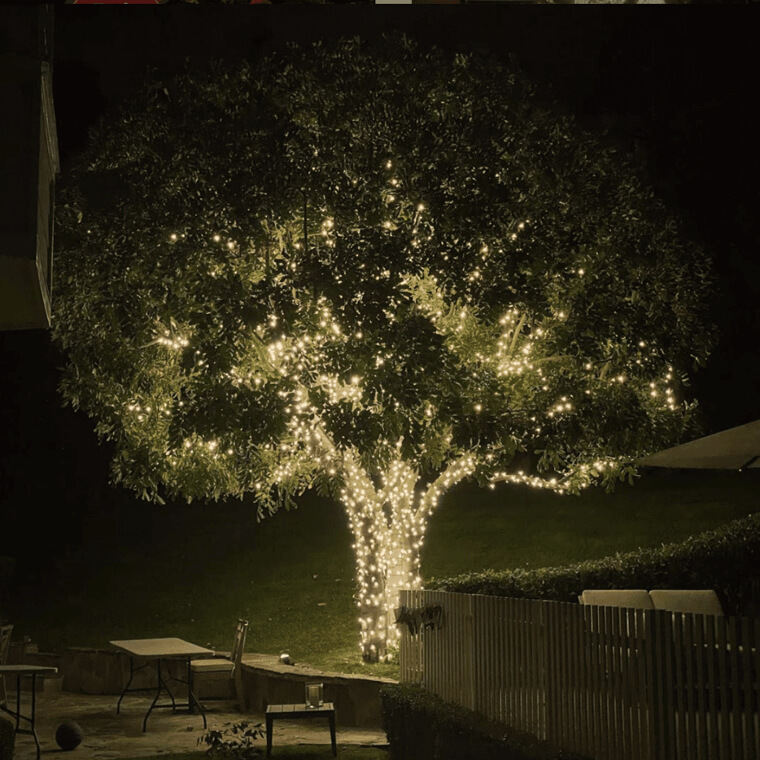 Decorate A Tree In Lights
