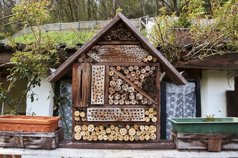 Create Your Own Bug Haven