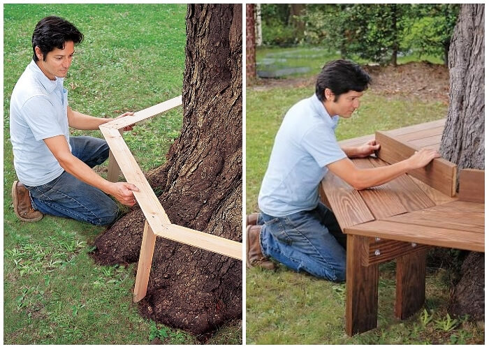 Build A Tree Bench Around An Old Tree
