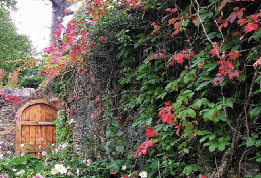 Egyszerű kültéri projektek, amelyek a hátsó udvart édenkertté varázsolják