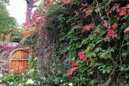 Makkelijke buitenprojecten om van de achtertuin een paradijs te maken