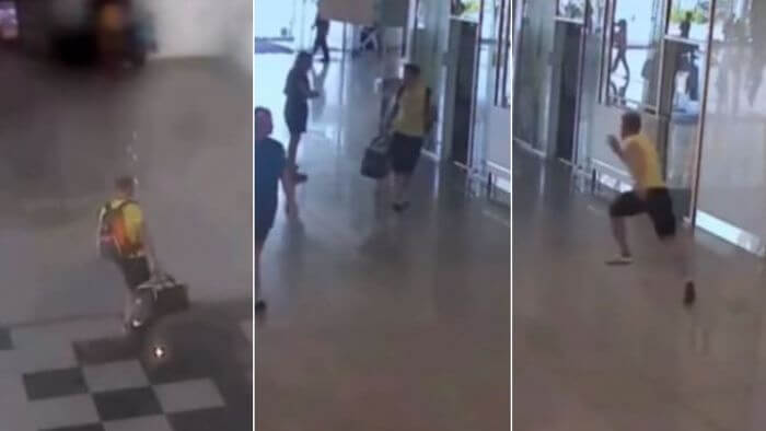 Inghiottito dalla foresta