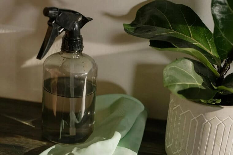 Vinegar on Rubber Seals