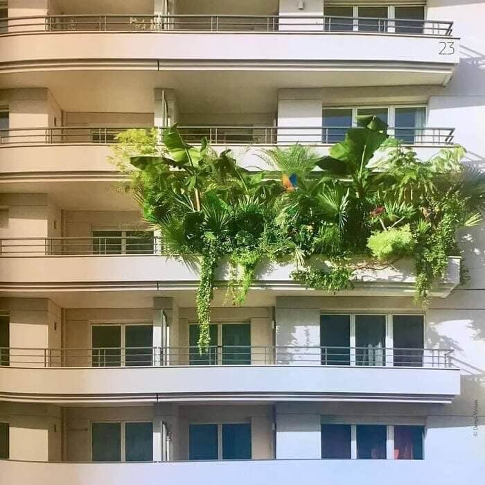 A Balcony for Plant Lovers