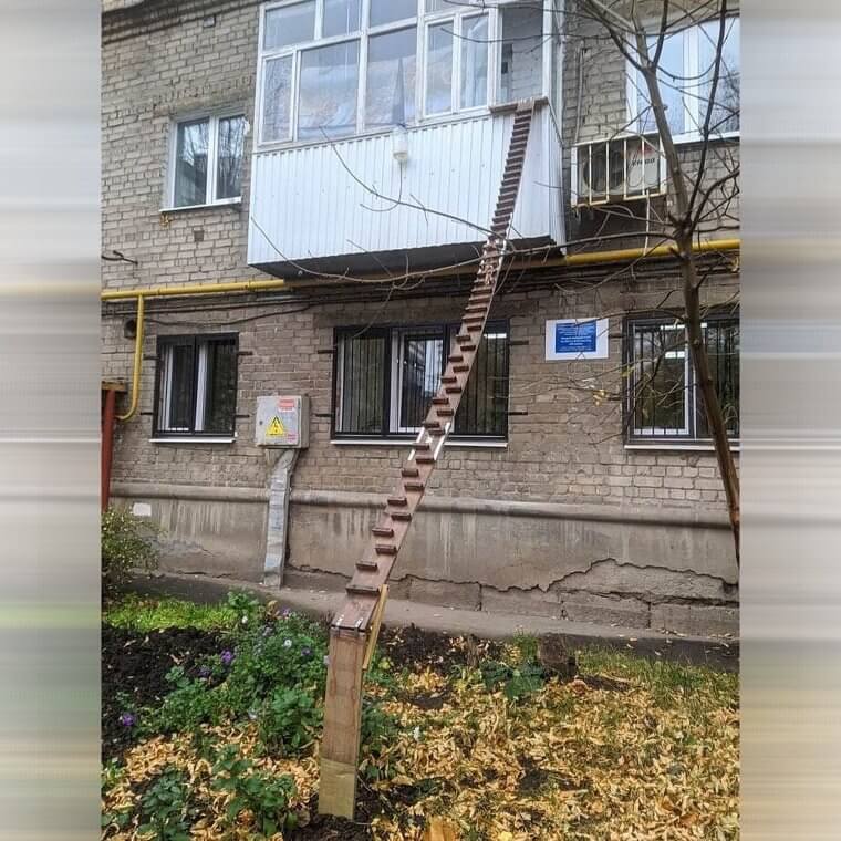 When You Have an Outdoor Cat but a Second Floor Apartment