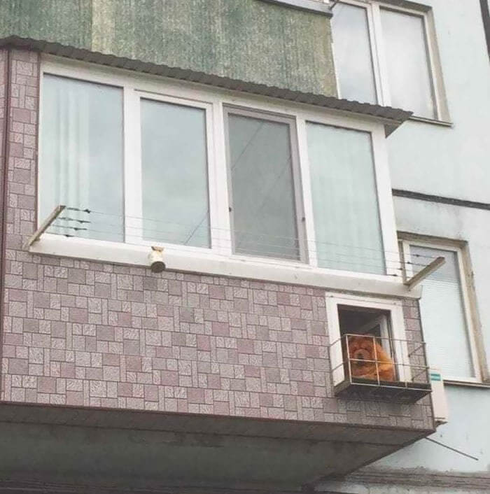 A Balcony for Your Dog