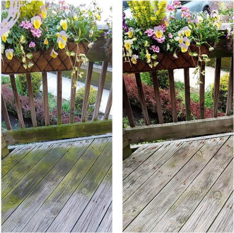 An Effortless Wet & Forget Outdoor Spray That Clears Away and Blocks Mold or Algae With Zero Scrubbing.
