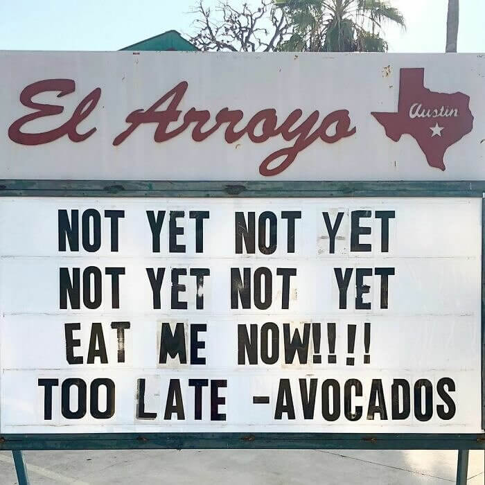 The Saga of the Avocado