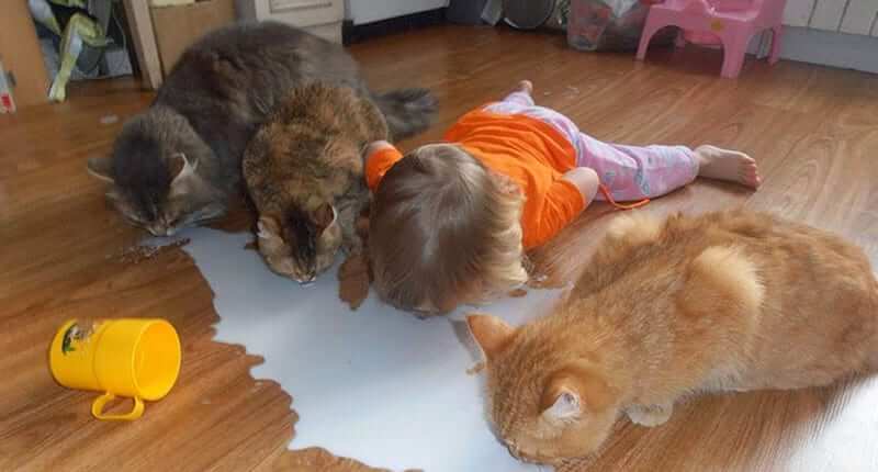 These Kids Have No Idea How Funny They Are