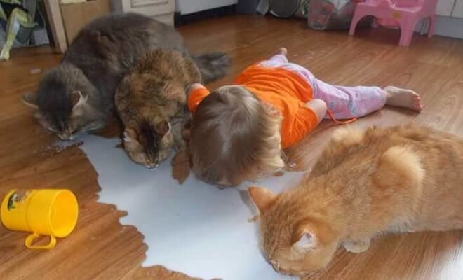 These Kids Have No Idea How Funny They Are