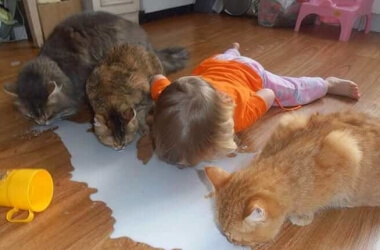 These Kids Have No Idea How Funny They Are